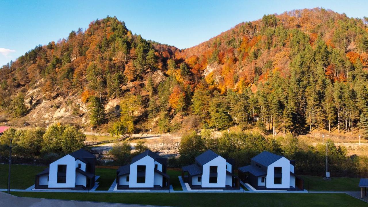 Complex Lunlo Village Brezoi Buitenkant foto